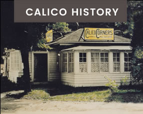 Calico History