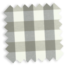 checks