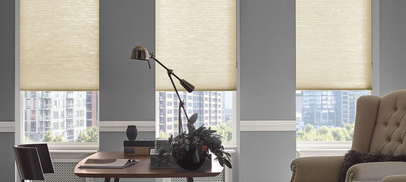 Hunter Douglas Kinship Sunlight.