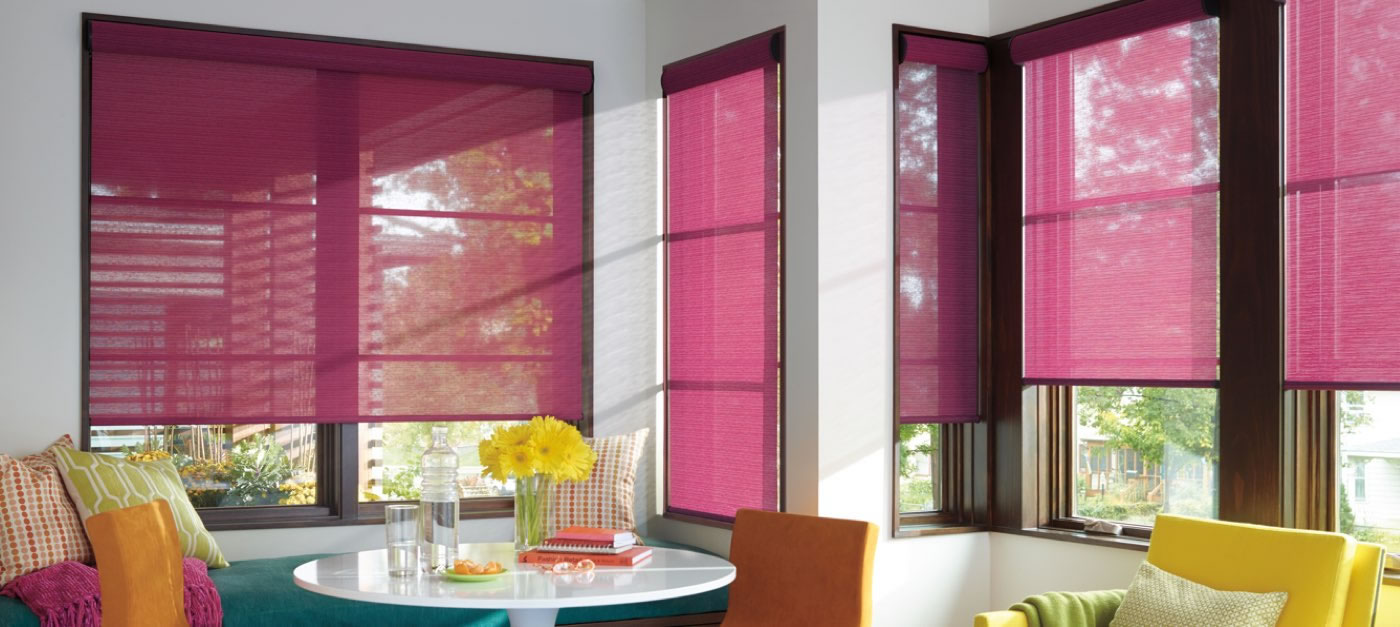 Hunter Douglas Designer Roller Shades alexander