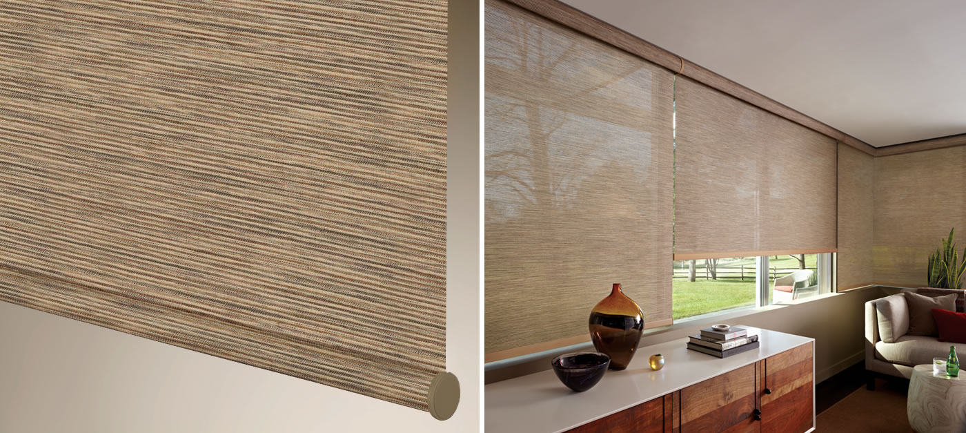 Hunter Douglas Designer Screen Shades