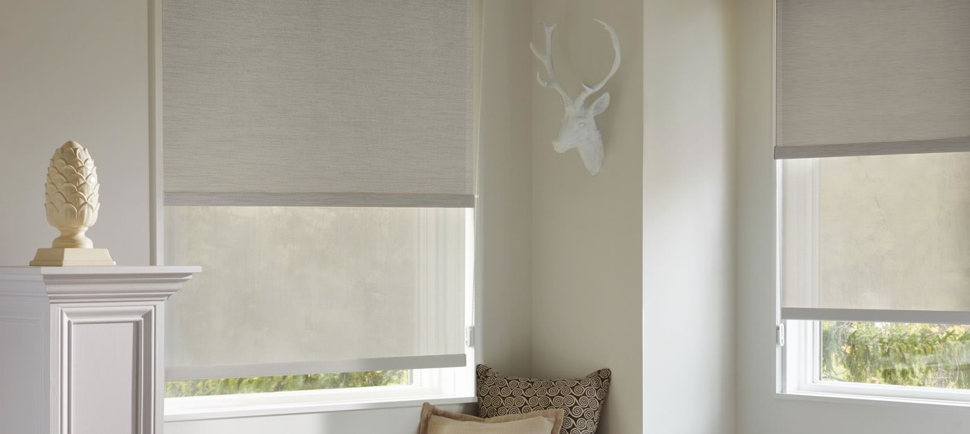 Hunter Douglas Designer Screen Shades