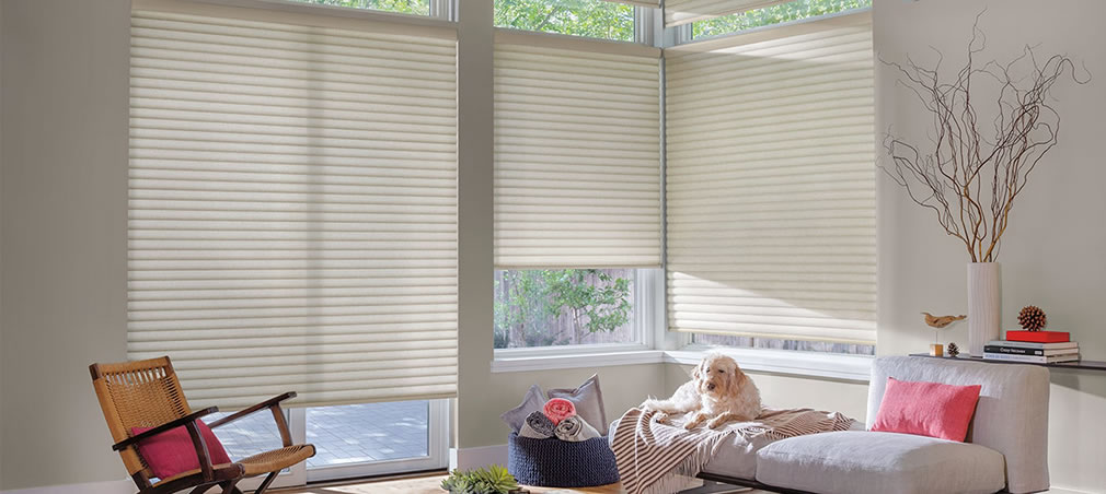 Sonnett Cellular Roller Shades