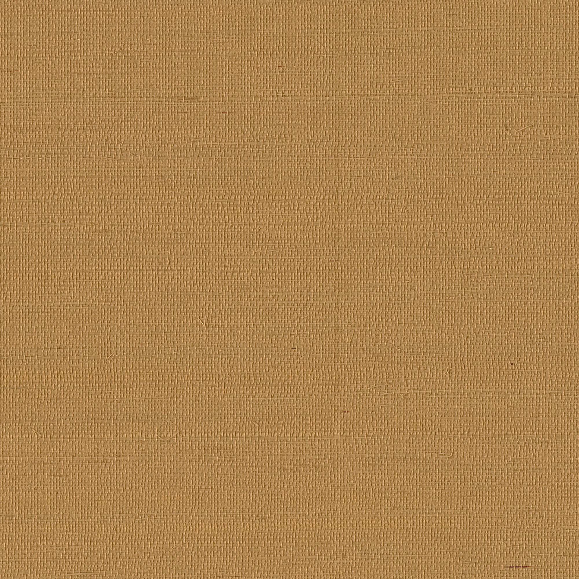 calico
