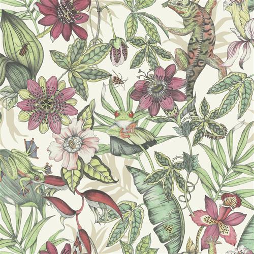 BL1702 - Blooms Second Edition Wallpaper Rainforest