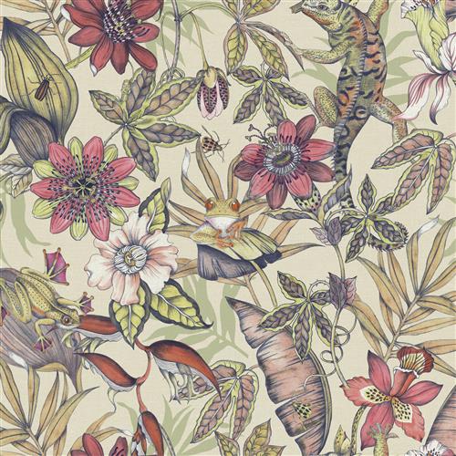 BL1704 - Blooms Second Edition Wallpaper Rainforest