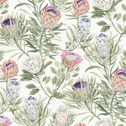 BL1752 - Blooms Second Edition Wallpaper Protea