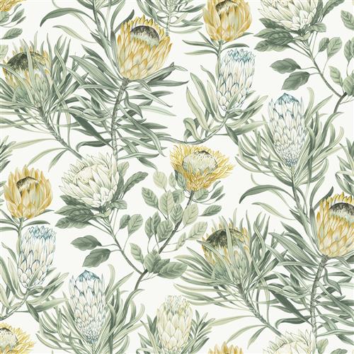 BL1754 - Blooms Second Edition Wallpaper Protea