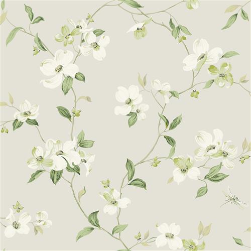 BL1762 - Blooms Second Edition Wallpaper Dogwood