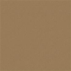 Sensuede Latte