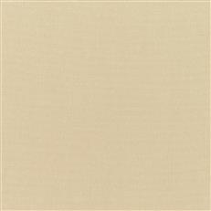 Canvas - Sunbrella Outdoor - Antique Beige