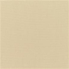 Canvas - Sunbrella Outdoor - Antique Beige