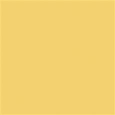 Canvas - Sunbrella Outdoor - Buttercup