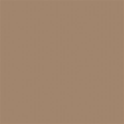 Canvas - Sunbrella Outdoor - Taupe