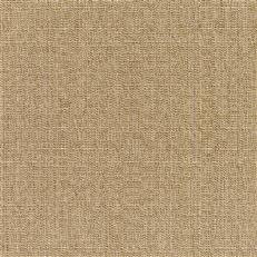 Linen - Sunbrella Outdoor - Sesame
