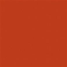 Sensuede Burnt Orange