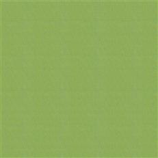Canvas - Sunbrella Outdoor - Ginkgo