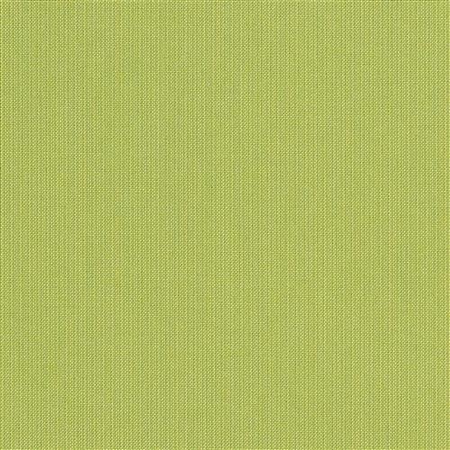 spectrum-sunbrella-outdoor-kiwi