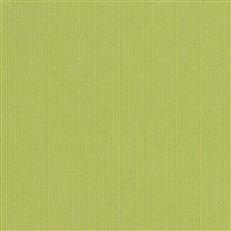 Spectrum - Sunbrella Outdoor - Kiwi