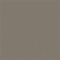 Sensuede Cloud