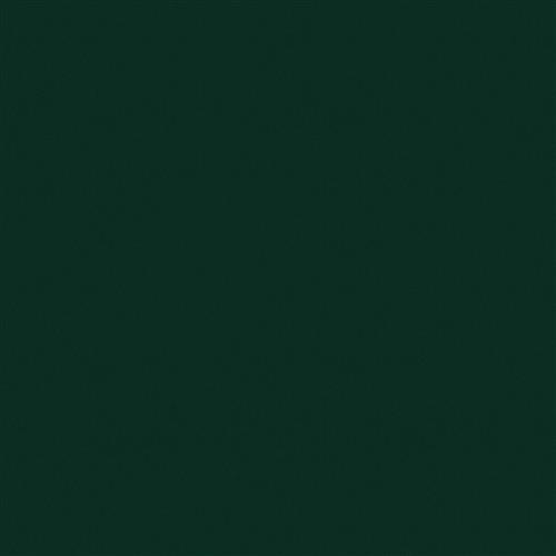 Sensuede Evergreen