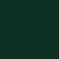 Sensuede Evergreen