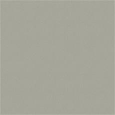 Sensuede Rain