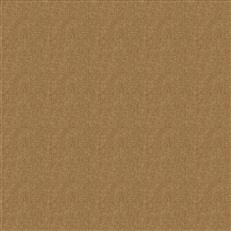 Fortezza Mocha