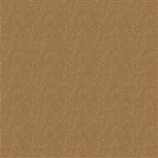 Fortezza Mocha