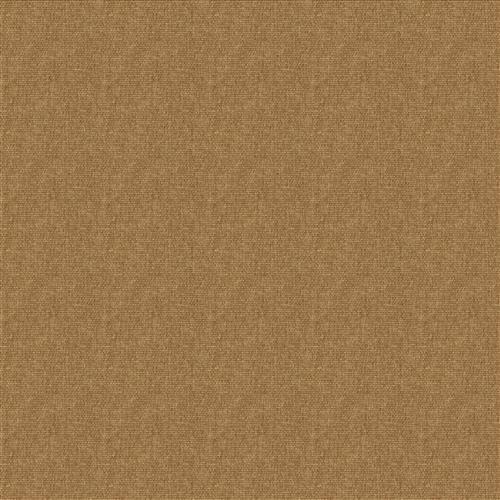 fortezza-mocha