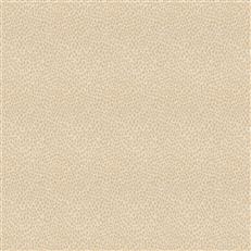 Animal Skin Sand