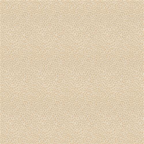 animal-skin-sand