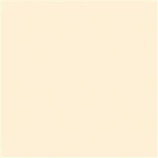 Union Duck Bleached