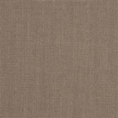 Emporio - Vern Yip - Bark