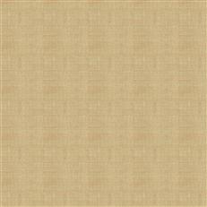 Ebb Tide - Cotton
