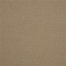 Action - Sunbrella Outdoor - Taupe