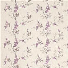 Brookdale Lilac