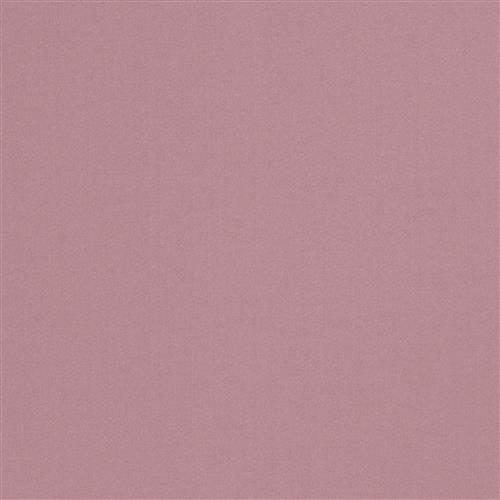 valencia-satin-orchid
