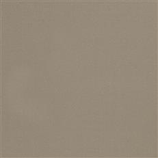 Valencia Satin - Platinum