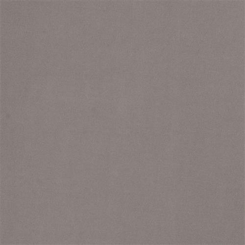 valencia-satin-shark