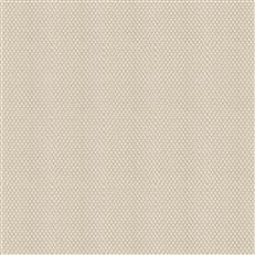 Gentillesse Hemp
