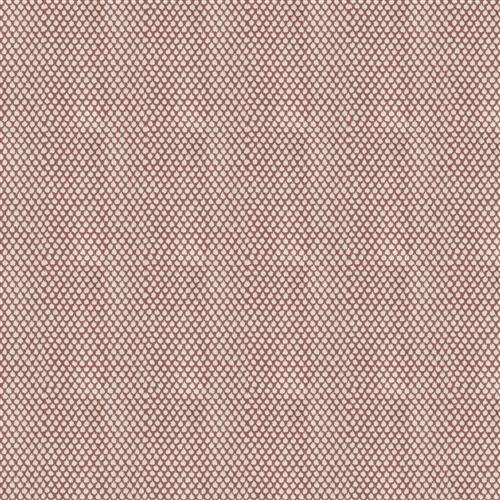 gentillesse-sienna