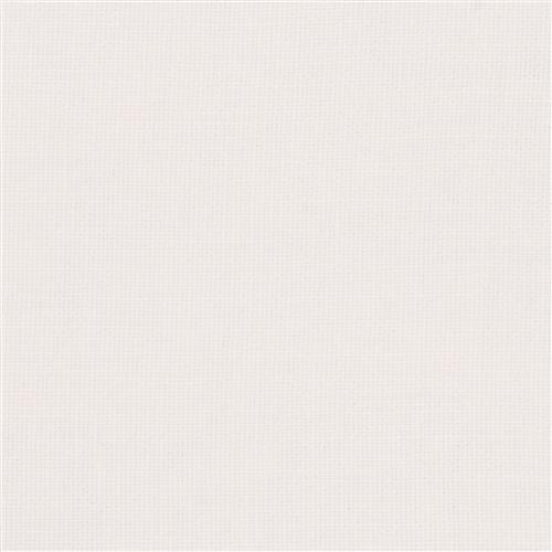 laisse-blanc