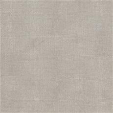 Laisse Taupe