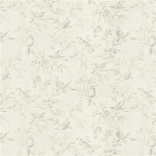 projet-blanc