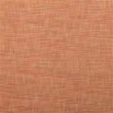 Common Sense - Crypton Home - Sunset