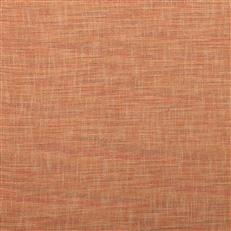 Common Sense - Crypton Home - Sunset