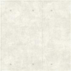 MH1551 - Magnolia Home Wallpaper - Concrete
