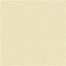 Titan Chenille - Kravet Armor - 1001 Cotton