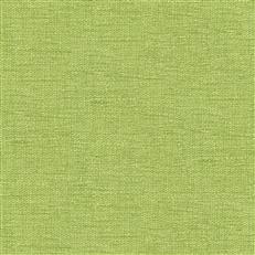 Titan Chenille - Kravet Armor - 123 Leaf